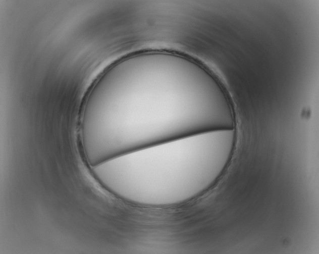X0000113960895200909251024