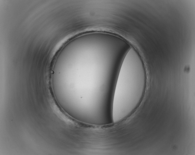 X0000113960896200909251024