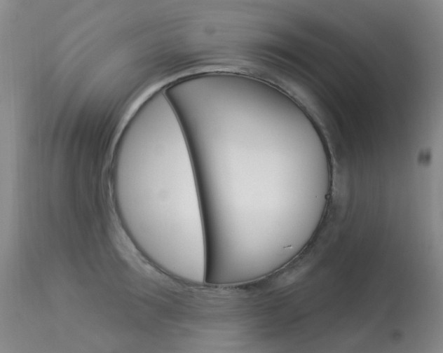X0000113960899200909251024