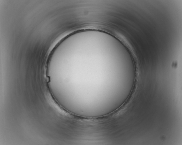 X0000113960900200909251023