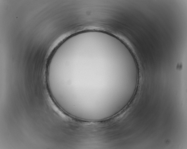 X0000113960902200909251023