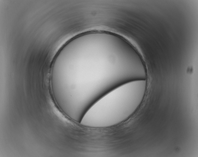 X0000113960903200909251023