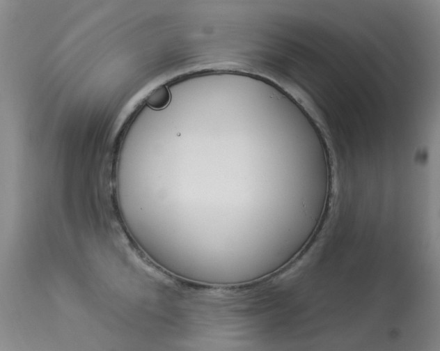 X0000113960904200909251023