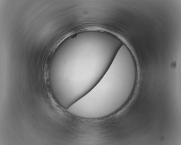X0000113960905200909251023