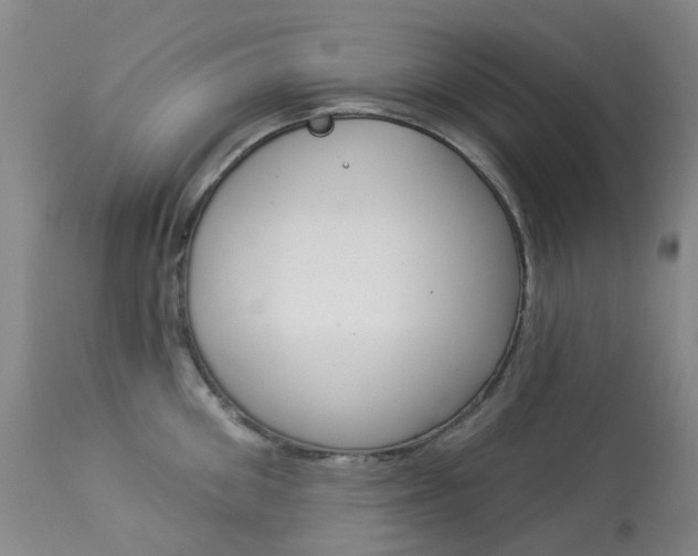 X0000113960906200909251023