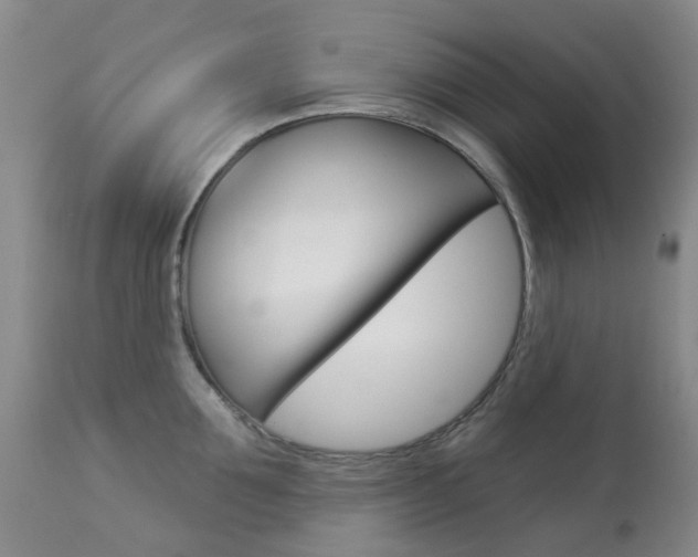 X0000113960907200909251023