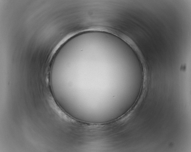 X0000113960908200909251023