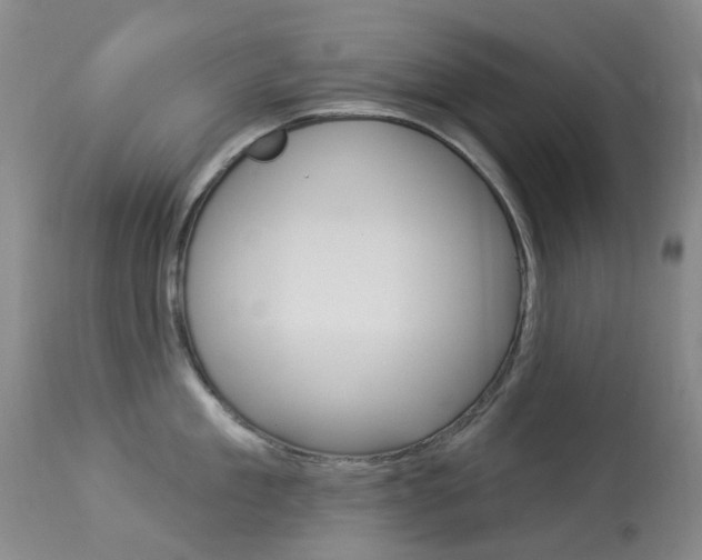X0000113960909200909251023
