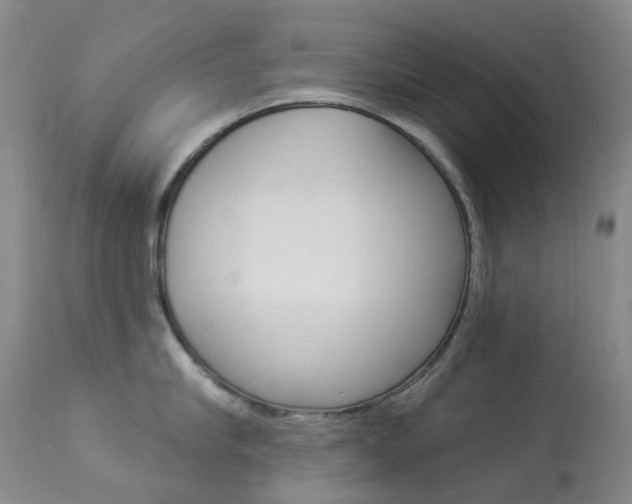 X0000113960910200909251023