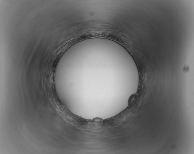 X0000113960914200909251023