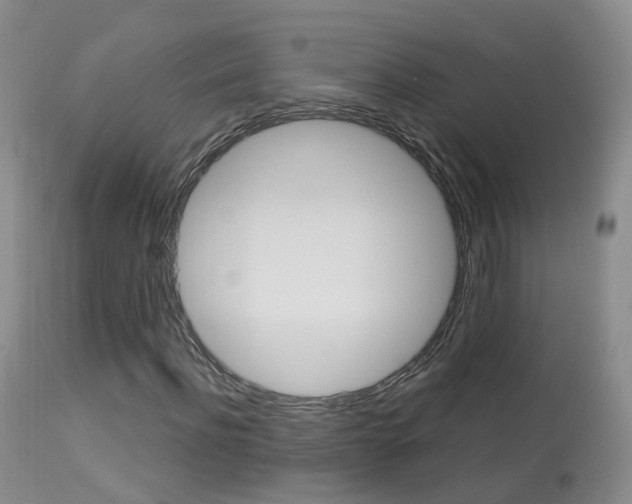 X0000113960916200909251023
