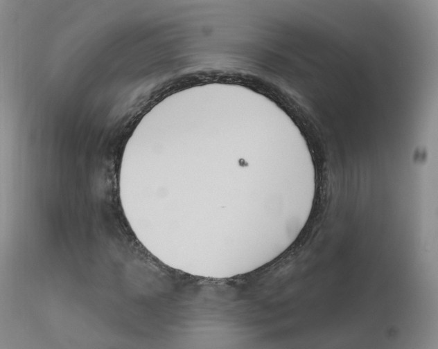 X0000113960918200909251023