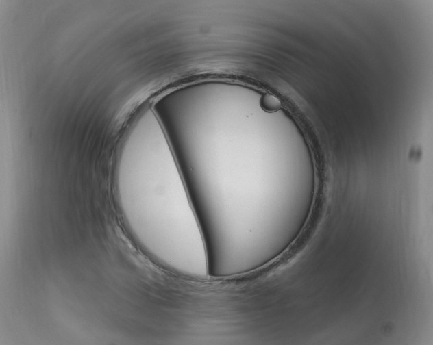 X0000113960922200909251023