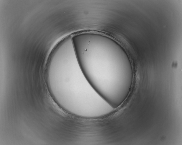 X0000113960924200909251023