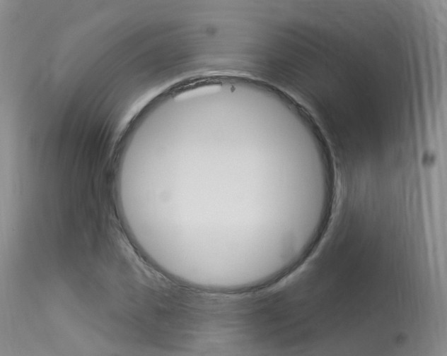 X0000113960925200909251023