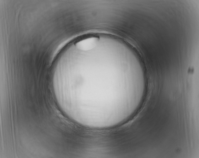 X0000113960926200909251023