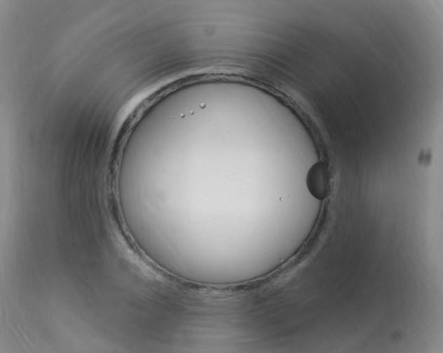 X0000113960928200909251023