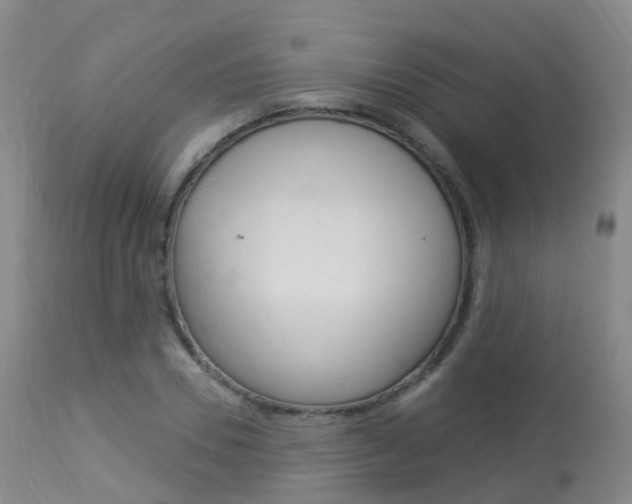 X0000113960930200909251023