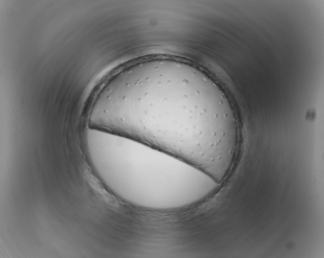 X0000113960931200909251023