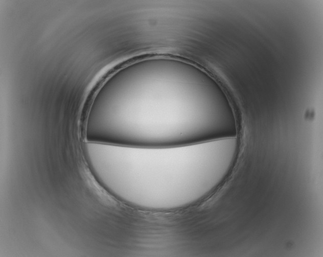 X0000113960932200909251023