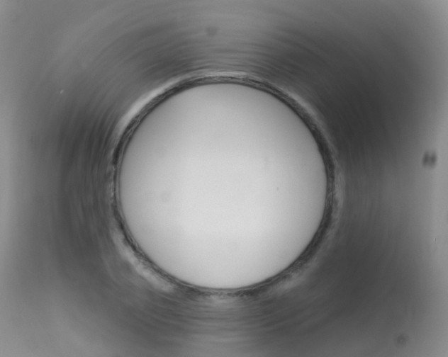 X0000113960933200909251023