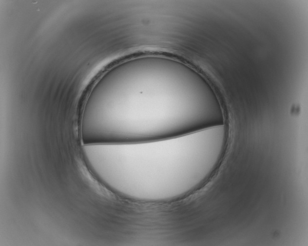 X0000113960934200909251023