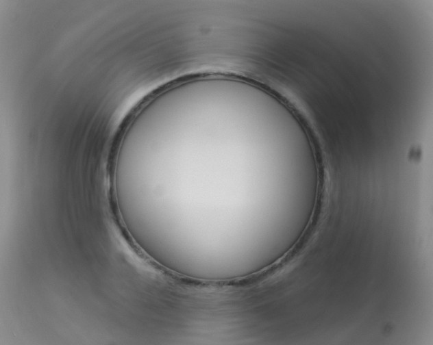X0000113960936200909251023