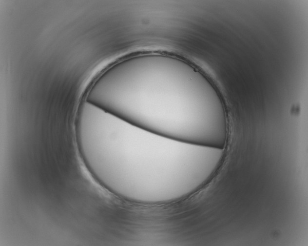 X0000113960943200909251023