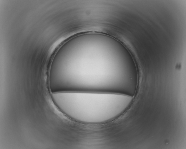 X0000113960944200909251023