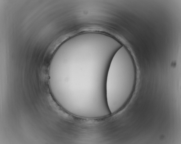 X0000113960945200909251023