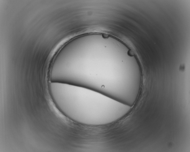 X0000113960947200909251023