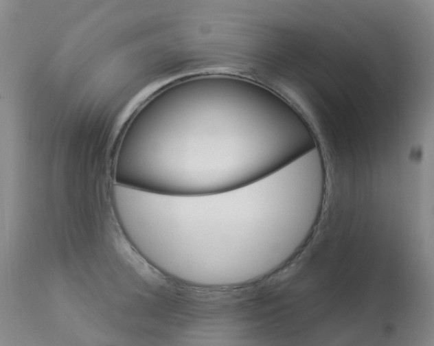 X0000113960948200909251023