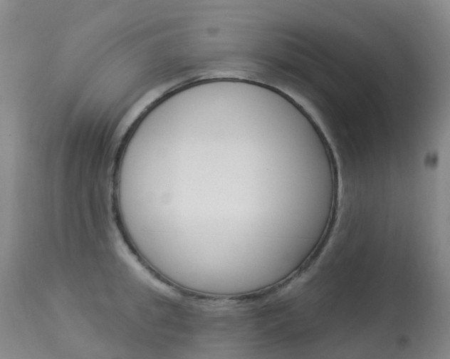 X0000113960949200909251023