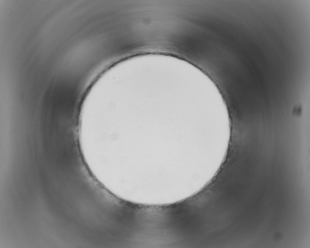 X0000113960950200909251023