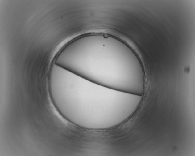 X0000113960951200909251023