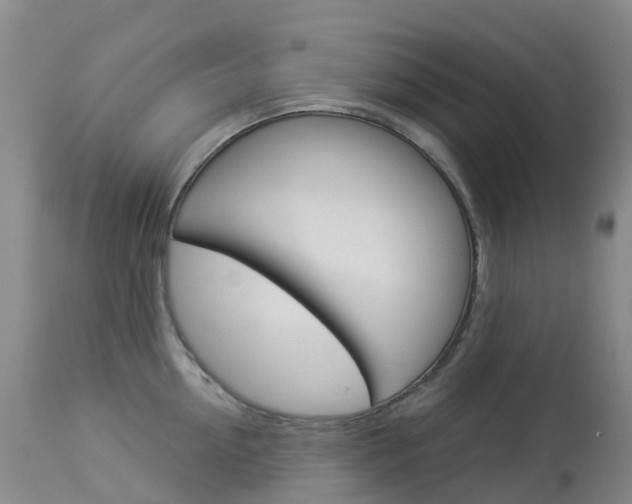 X0000113960954200909251023