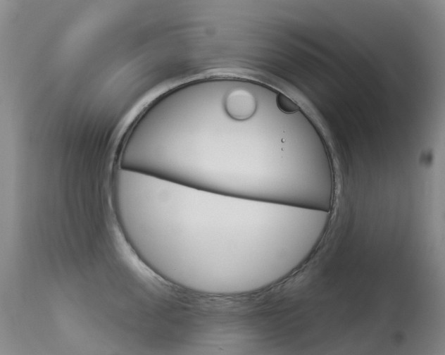 X0000113960955200909251023