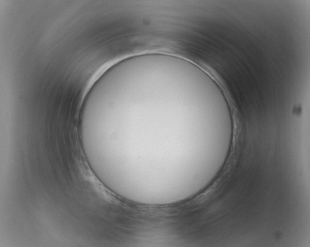 X0000113960956200909251023