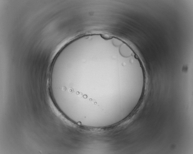 X0000113960957200909251023