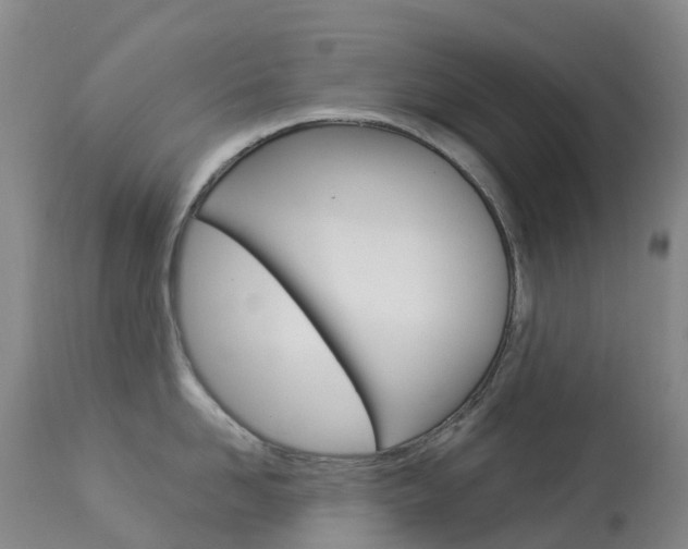 X0000113960958200909251023