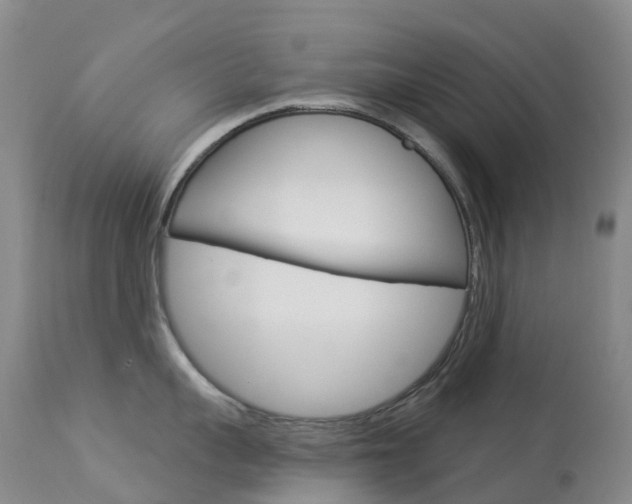 X0000113960959200909251023