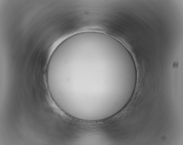 X0000113960960200909251023