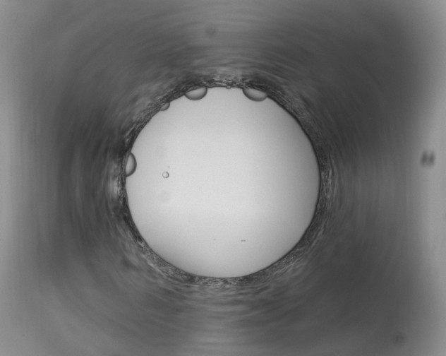 X0000113960962200909251023