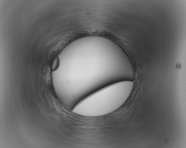 X0000113960963200909251023