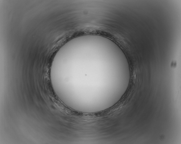 X0000113960964200909251023