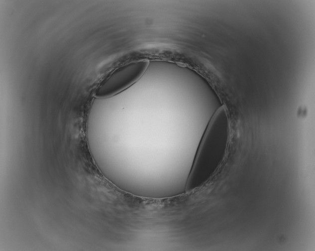 X0000113960965200909251023