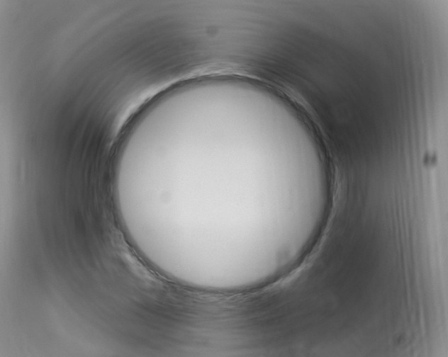 X0000113960973200909251022
