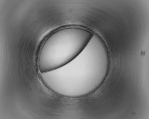 X0000113960975200909251022