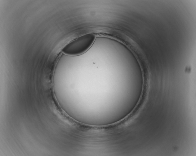 X0000113960977200909251022