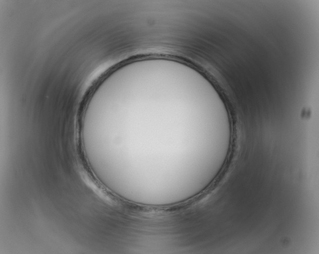 X0000113960982200909251022